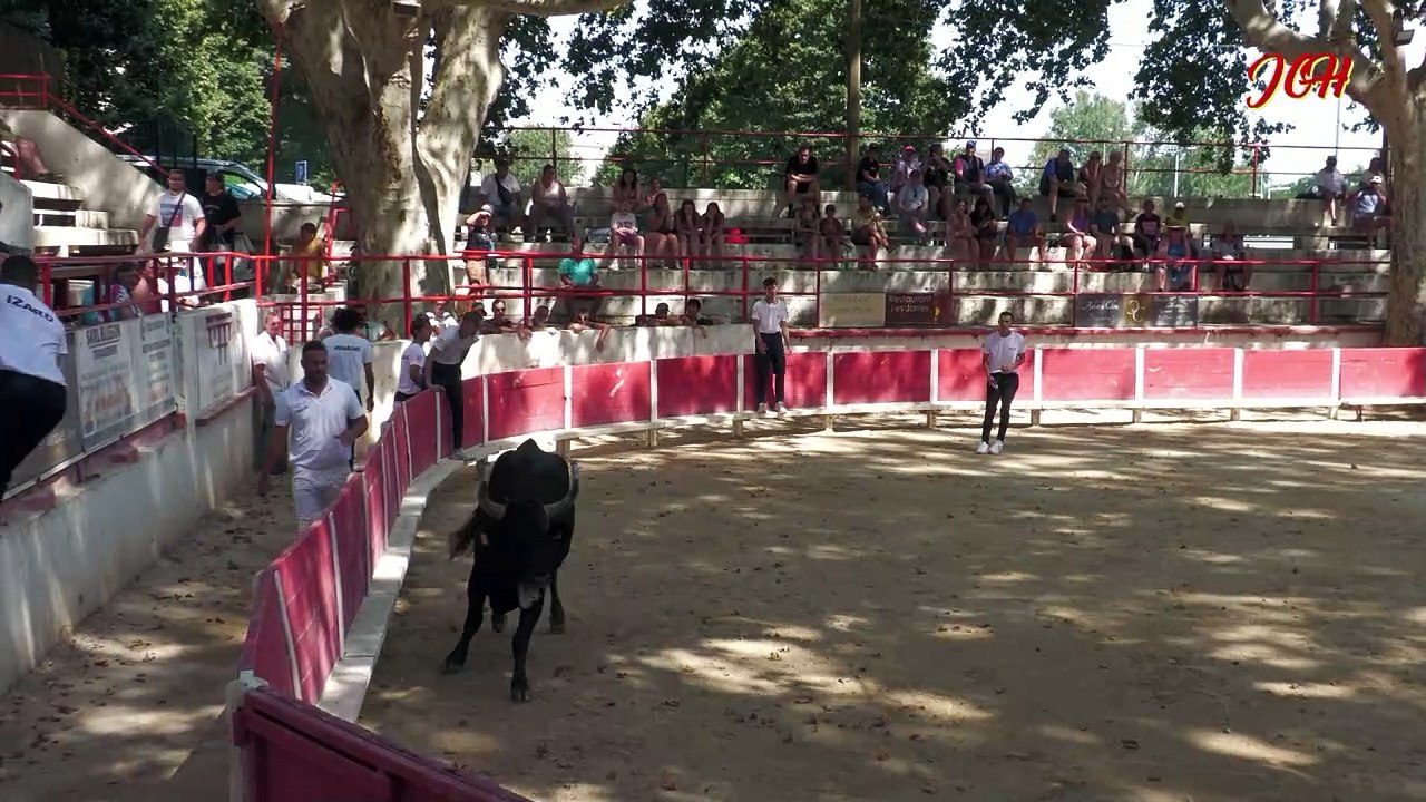 Avant course Remoulins 3iè de la CERISE D'OR 2024