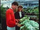 Living  with Dutch potplants  1987