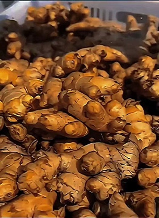 #tiktok #keşfet #tiktok #keşfet #tiktok #keşfet #tiktok #keşfet #pubgindia #pubg #pubgm #ببجي_موبايل_بابجي_سكواد_سكوب_#tiktok #pubgmobiletürkiye #PUBGMOBILE #pubglover