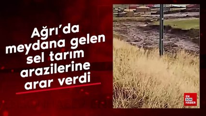 Ağrı'da meydana gelen sel tarım arazilerine zarar verdi