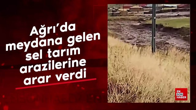 Ağrı'da meydana gelen sel tarım arazilerine zarar verdi