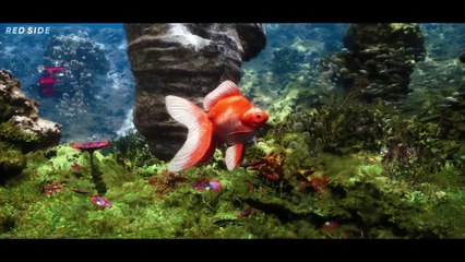 SPEED COMPARISON 3D  Aqua Life