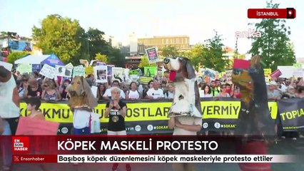 Başıboş köpek düzenlemesini köpek maskeleriyle protesto ettiler