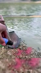 ابتكار محلول غريبة يجدب الاسماك بذون حاجة لسنارة صيد