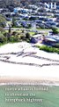 Human whale at Fingal Beach | Newcastle Herald | July 21, 2024
