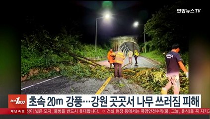 초속 20ｍ 강풍…강원 곳곳서 나무 쓰러짐 피해