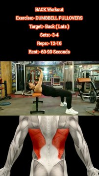 ❌ DUMBBELL PULLOVERS ✔️ How can I Build My BACK Bigger? #heermlgangaputra #naturalbodybuilding #workout #exercise #fitness #gym #muscle #training #tips
