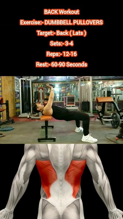 ❌ DUMBBELL PULLOVERS ✔️ How can I Build My BACK Bigger?  #heermlgangaputra #naturalbodybuilding #workout #exercise #fitness #gym #muscle #training #tips
