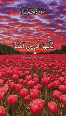 Surat al-Jumatahسورۃ الجمعتہ Tilawatul_Quran beautiful voice translation Urdu