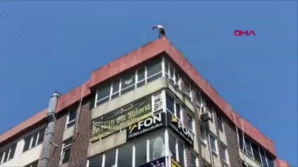 Baygınlık geçiren simitçi 'Bir şeyi yok' denilmesine kızıp canına kıymaya kalkıştı