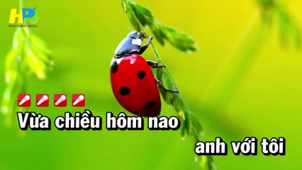 Giọt Buồn Không Tên Tone Nữ - Karaoke Nhạc Sống Hoài Phong