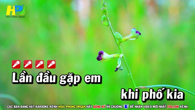 Karaoke Chiều Sân Ga Tone Nam Nhạc Sống (Beat Hay) Hoài Phong Organ