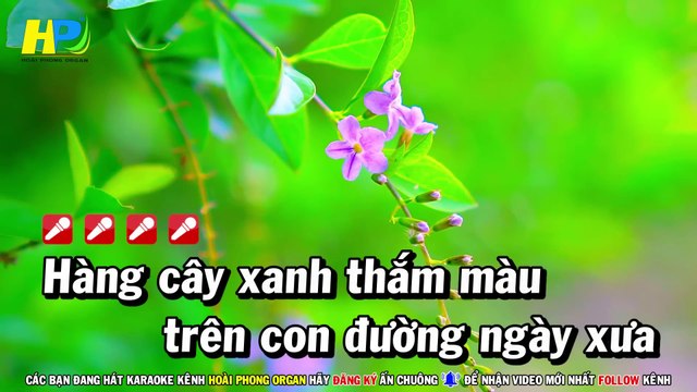 Karaoke Đường Tím Bằng Lăng (Beat Hay) Tone Nữ Nhạc Sống - Hoài Phong Organ