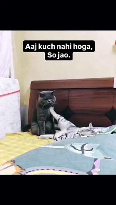 Romance 
