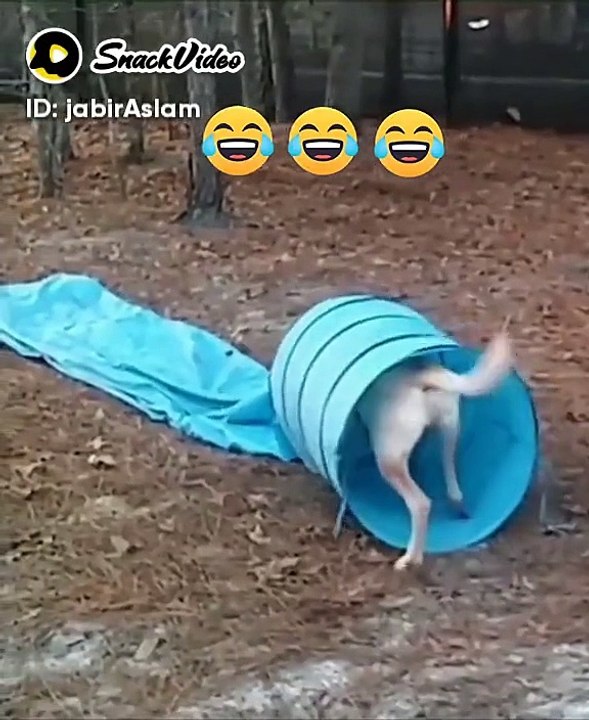 Funny video