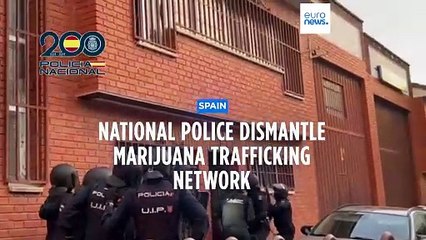 Spanish police arrest five people and seize 1,000 marijuana plants