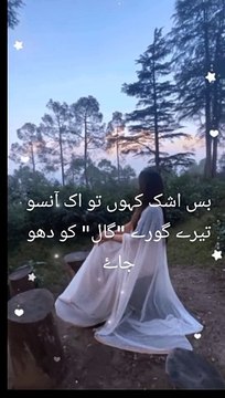 Chal ik aisi madam likhu| چل اک ایسی نظم لکھوں|urdu poetry|watsapp status| poetry lover s
