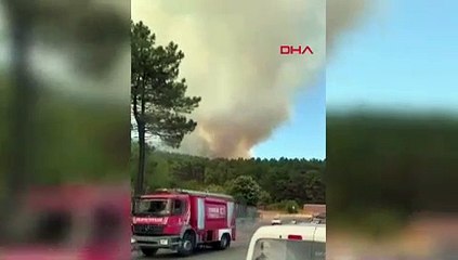 Aydos Ormanı'nda yangın!