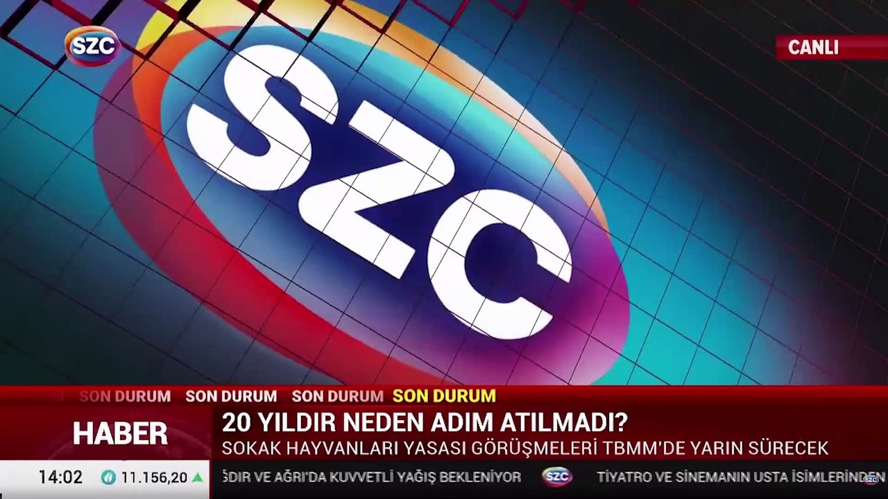 Türkeş'ten sokak köpekleri yasasına tepki: Doğru bir şey değil