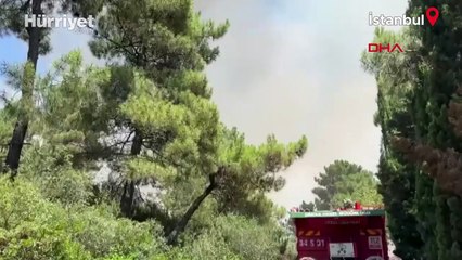 İstanbul Aydos Ormanı’nda yangın