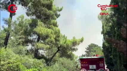 İstanbul - Aydos Ormanı'nda yangın