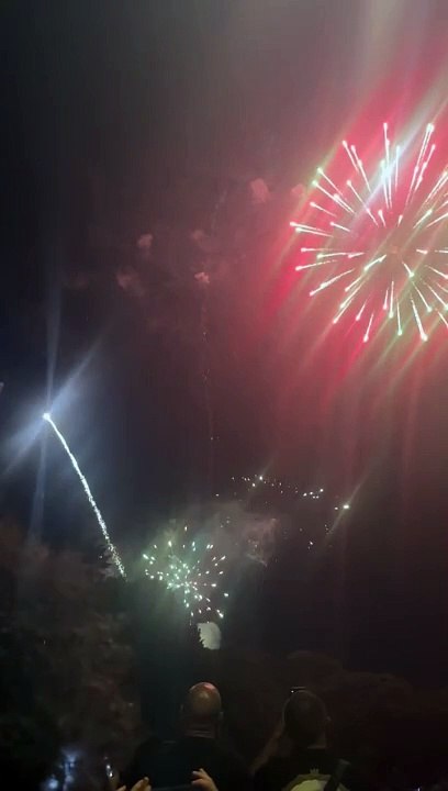 Le Feu d’artifice du 14 juillet Grenoble  Parc Jean-Verlhac Villeneuve #france #grenoble #show (49)