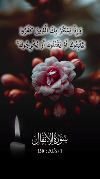 ﴿ وَإِذْ يَمْكُرُ بِكَ الَّذِينَ كَفَرُوا لِيُثْبِتُوكَ أَوْ يَقْتُلُوكَ أَوْ يُخْرِجُوكَ ۚ وَيَمْكُرُونَ وَيَمْكُرُ اللَّهُ ۖ وَاللَّهُ خَيْرُ الْمَاكِرِينَ﴾ [ الأنفال: 30]