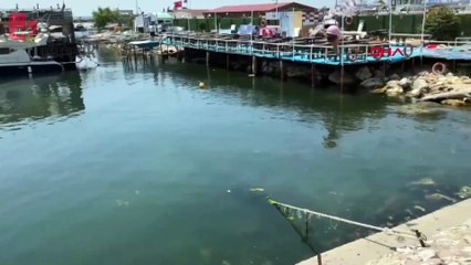 Avcılarda cinayet: Bıçaklayıp denize attılar