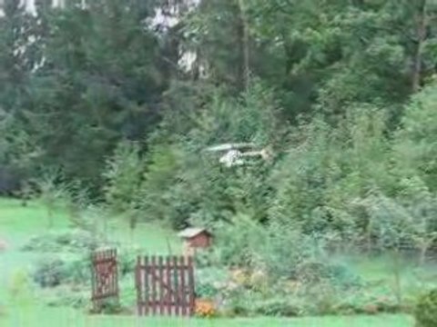 Honey bee king video_04