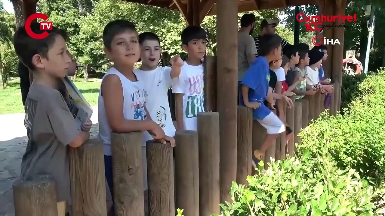 Dünya Dondurma Günü'nde maymunlara dondurma sürprizi!