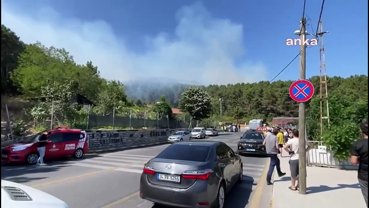 Aydos Ormanı yanıyor