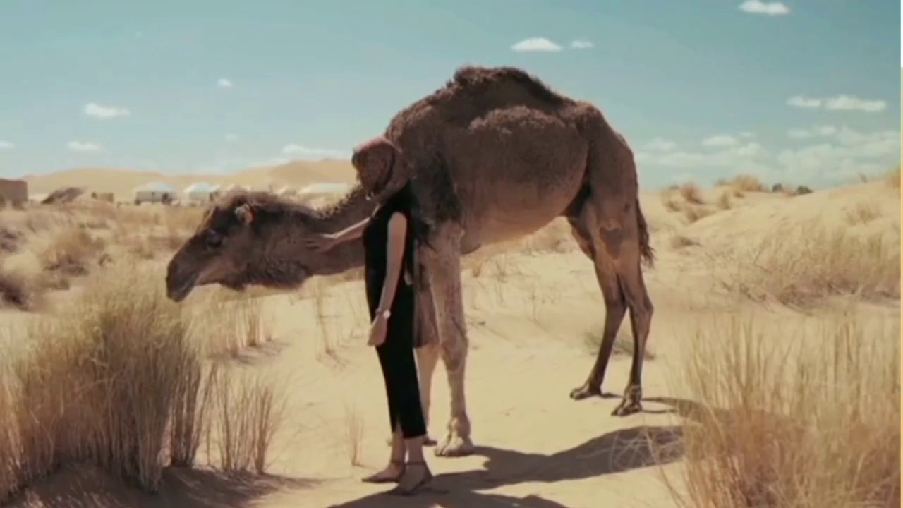 Desert Sahara history story | Desert ki Aik Dastan #desert