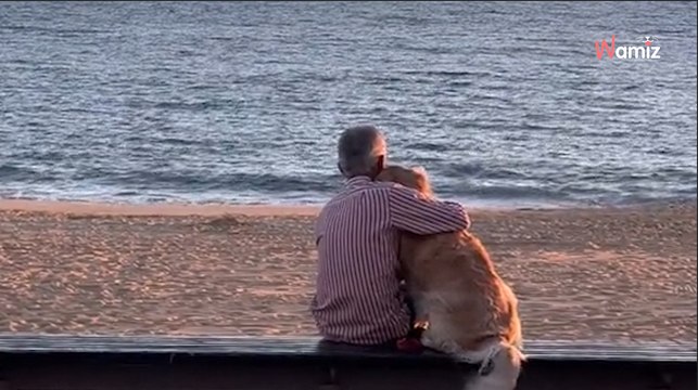 Toevallige beelden van een oudere man en zijn hond maakten dit de meest ontroerende zonsondergang ooit