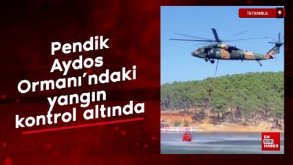 Pendik Aydos Ormanı'ndaki yangın kontrol altında