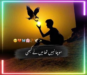 Urdu Shayari love story status Whatsapp videos