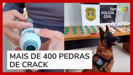Cachorro da PM encontra drogas escondidas em lâmpada em bar no interior de SP