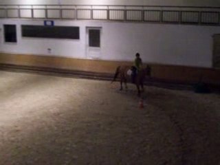 Cours obstacle 15 avril 2008 (3)