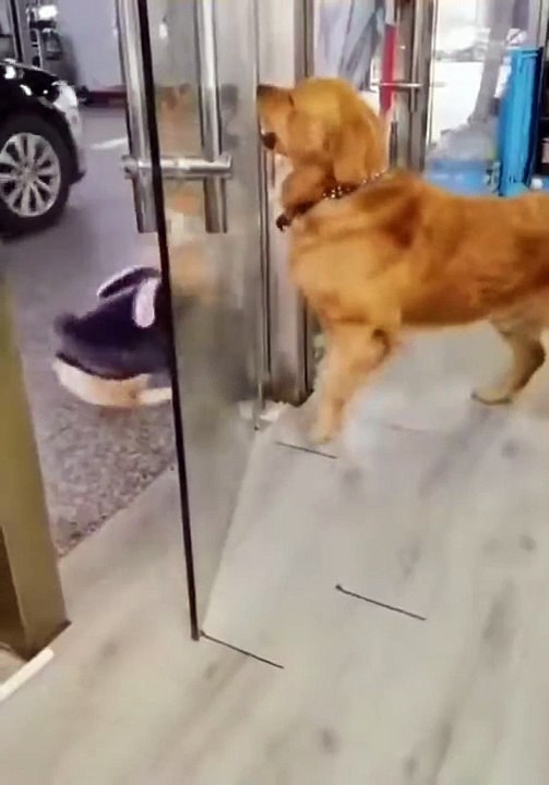 Water Break