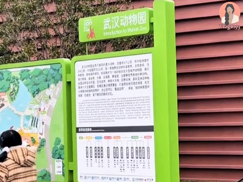 Chinese Girl Daily Life Journey Part 2 | Chinese girl daily life Vlog 193