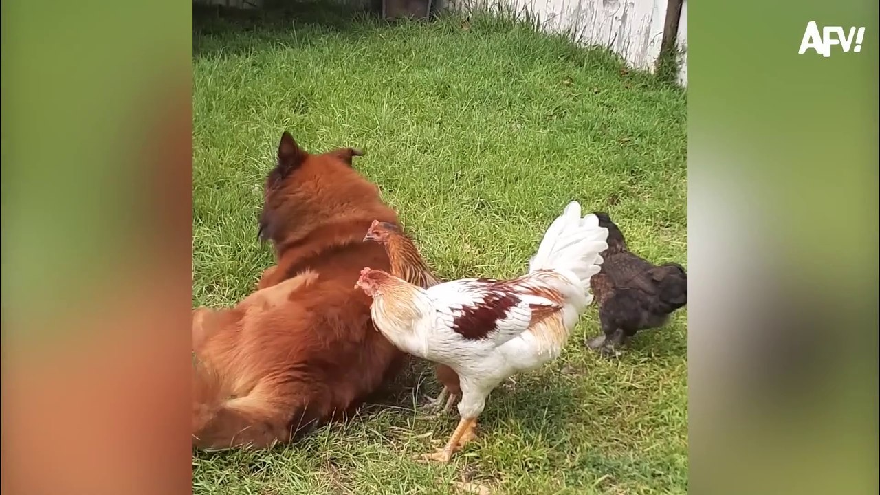 Karma is Best Served Instantly  Funny Fails | instant karma fails | instant karma police | try to not laugh challenge | Funny video 2024 | Comedy video | Entertainment