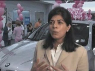 BMW Ultimate Drive 2008