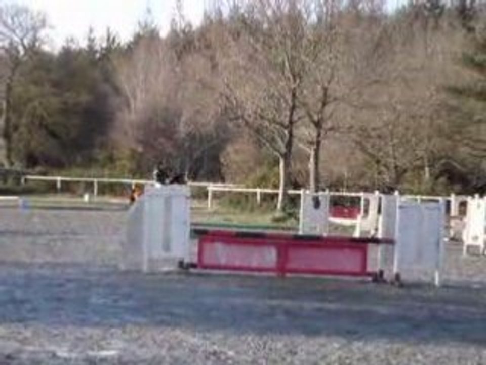 concour interne avec ma ponette