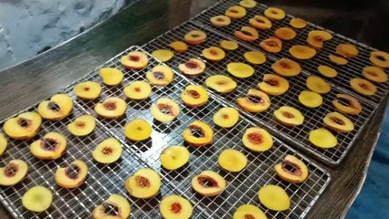 How to dry fruits |fruit dryer machine