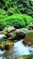 Immerse Yourself in the Soulful Serenity of Quran