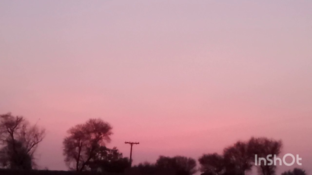 Sunset Vew|Red sky| evening time animal enjoying in green field