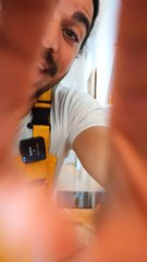 L’expérience du miroir : les animaux ont-ils conscience d’eux même ?