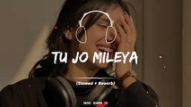 Tu Jo Mileya Full Song (Slowed+Reverb)❤️#foryou #slowedandreverb #music_slowed76 #fullsongs #fullsong #pakistanisongs #punjabisongs #goviral #illu #fyp #fypツ #indiansongs