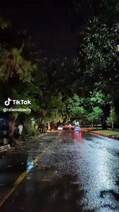 Rain ❄️❄️❄️