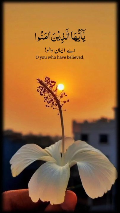 القرآن