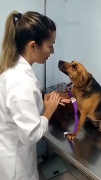 When dog trusts you completely..❤️